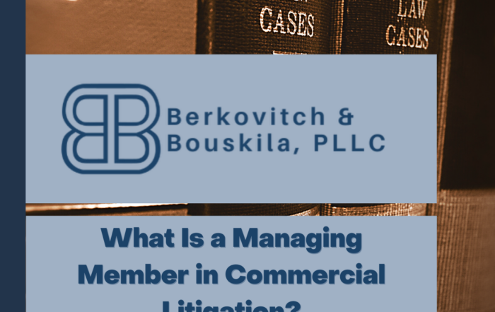 managing member commercial litigation