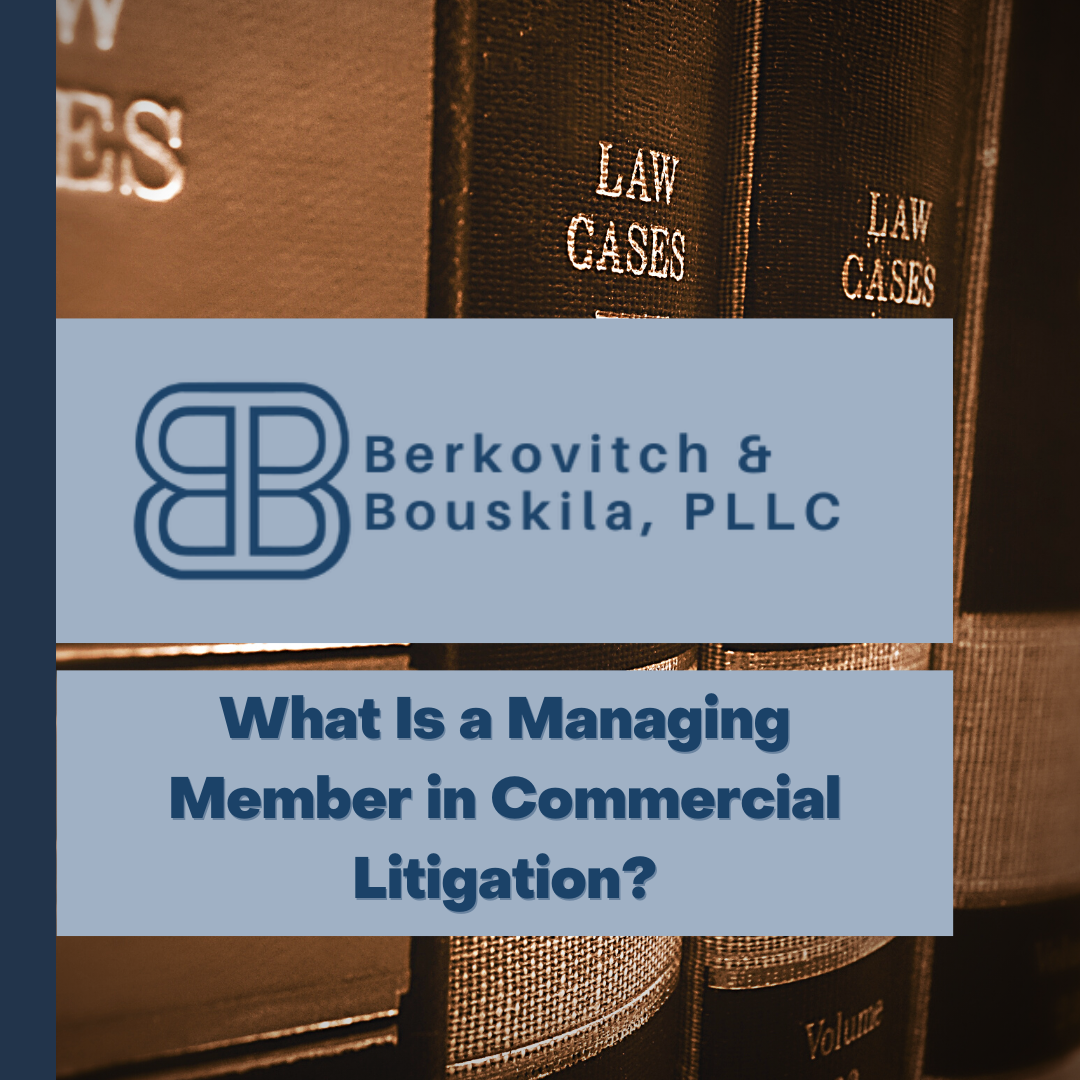 managing member commercial litigation