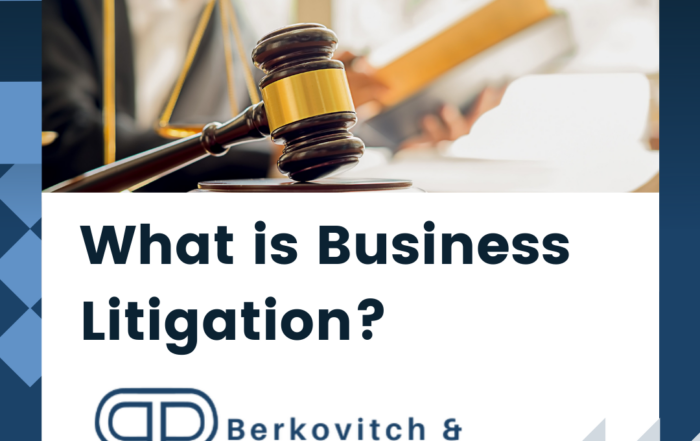 what is business litigation